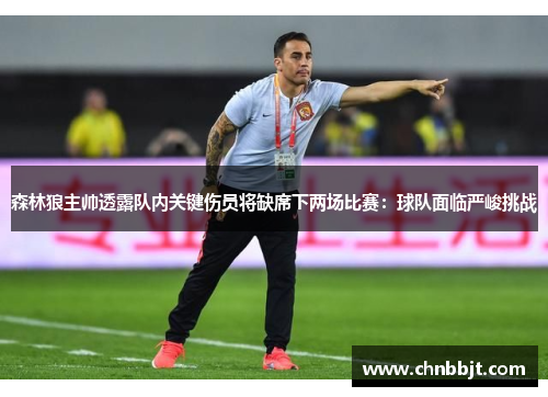 森林狼主帅透露队内关键伤员将缺席下两场比赛：球队面临严峻挑战